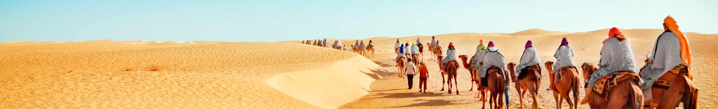 Touristen auf Kamelen in der Wüste