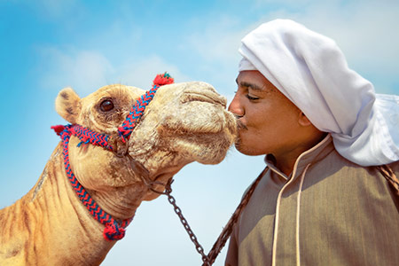 Ägypter mit einem Kamel