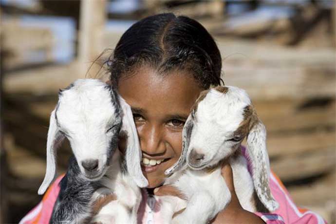 Lächelndes kleines ägyptisches Mädchen mit zwei kleinen Ziegen