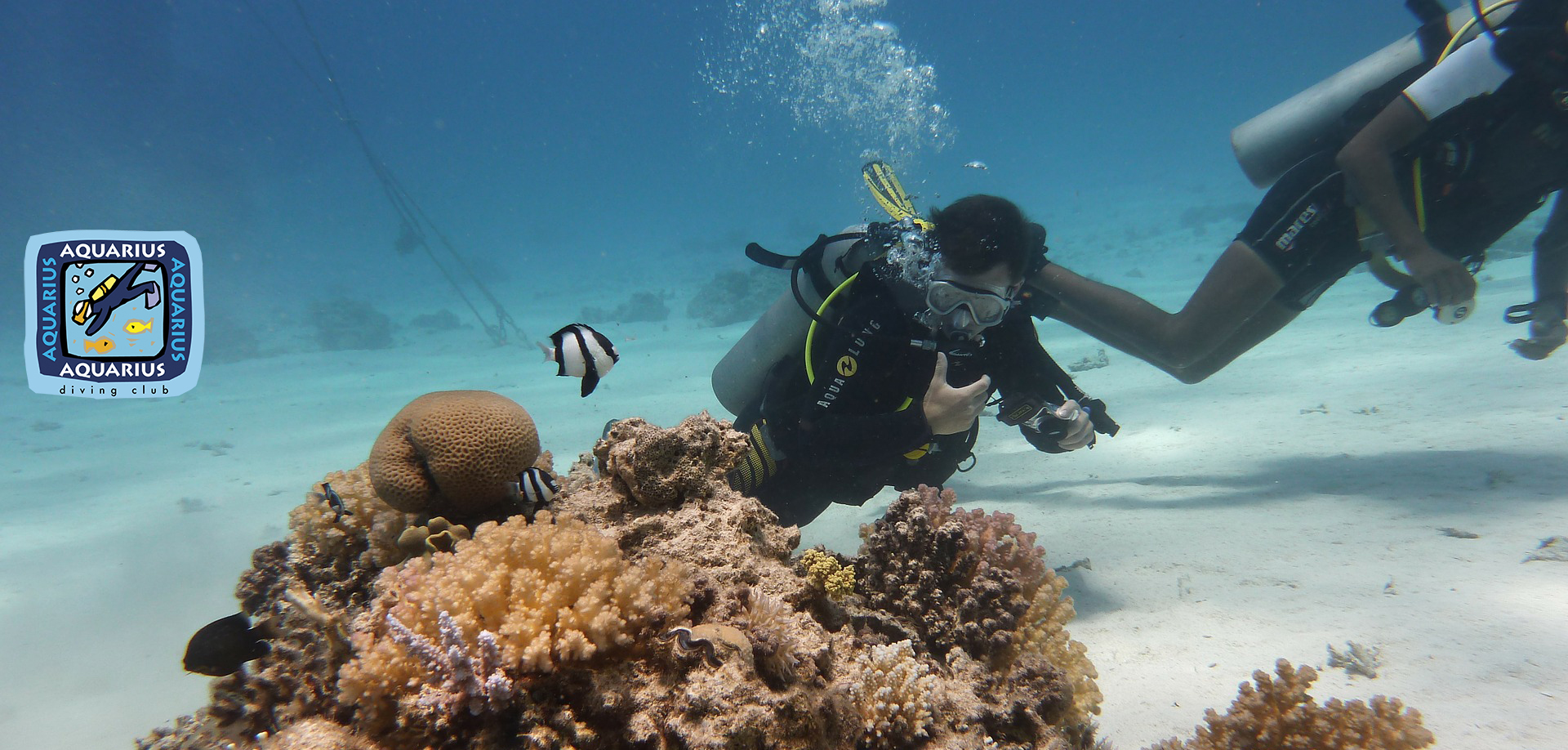 Taucher von Aquarius Diving Club an einem Korallenriff im Roten Meer