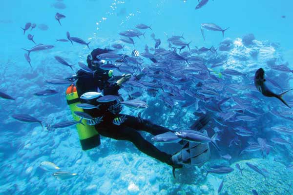 Taucher genießt die Unterwasserwelt im Roten Meer