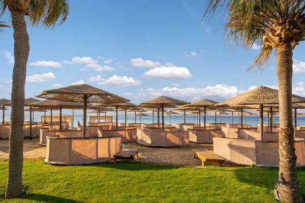 Mit Blick auf das Rote Meer