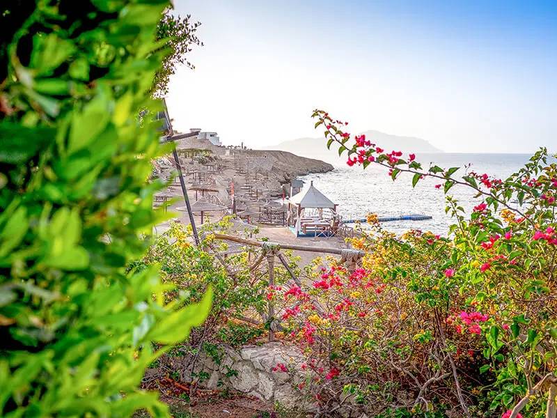  Privatstrand am Roten Meer