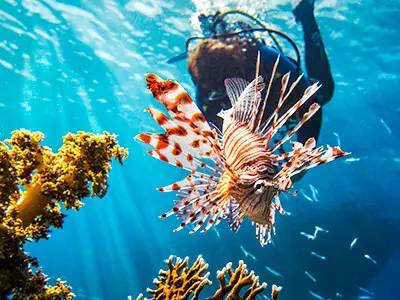 Aquarius Diving Club