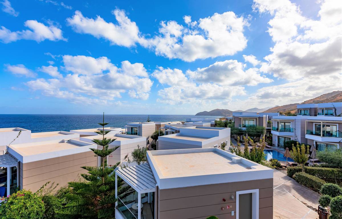 3. Bild The Royal Blue