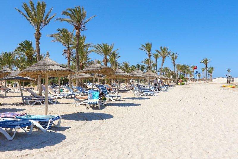 3. Bild Hotel Club Palm Azur