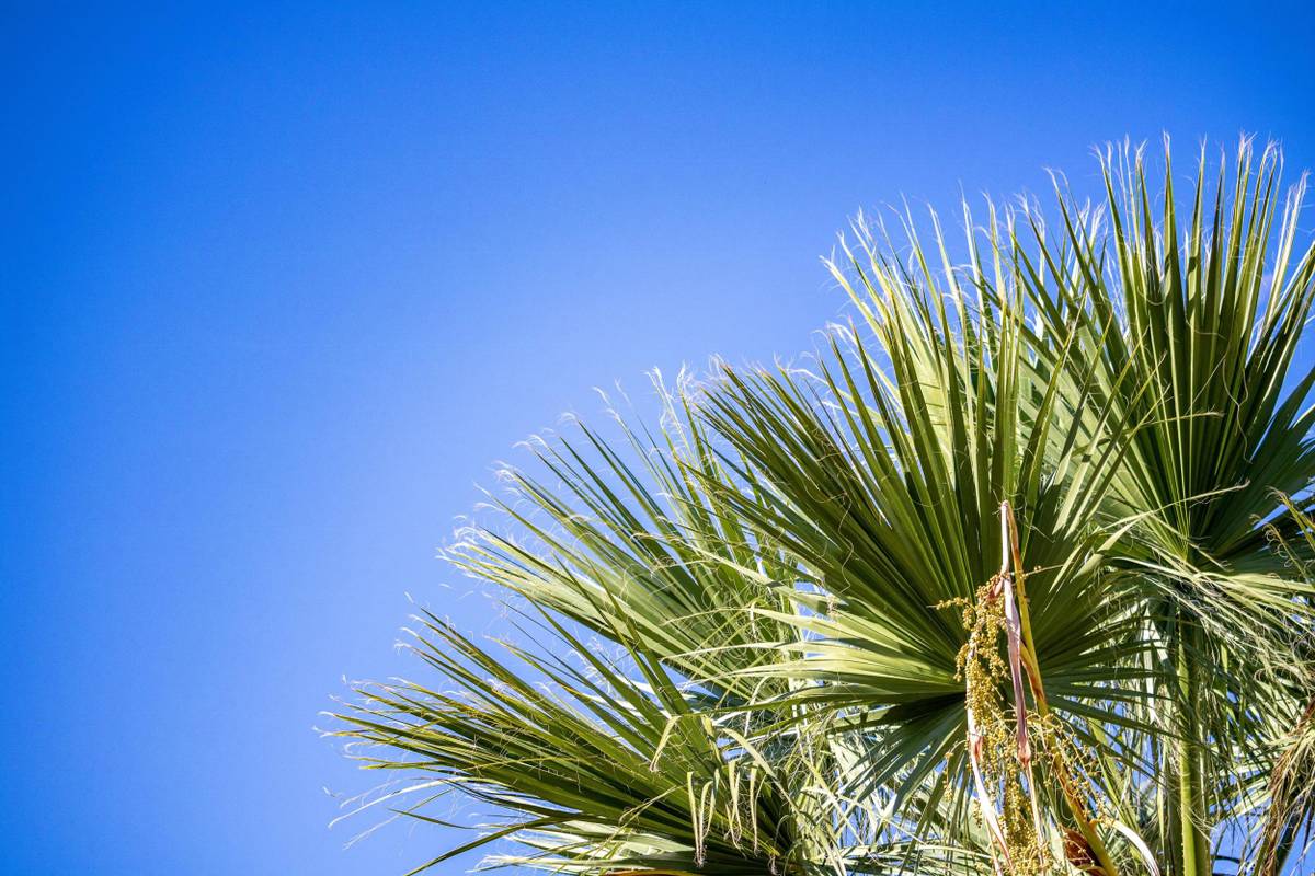 2. Bild Almyros Beach