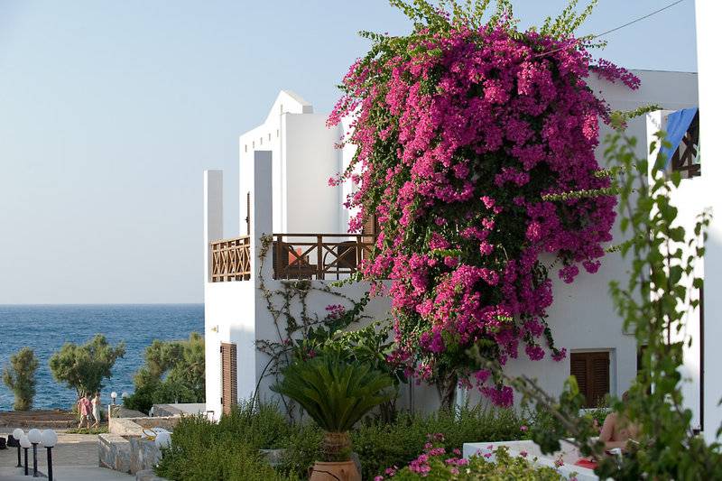 2. Bild Maritimo Beach Hotel