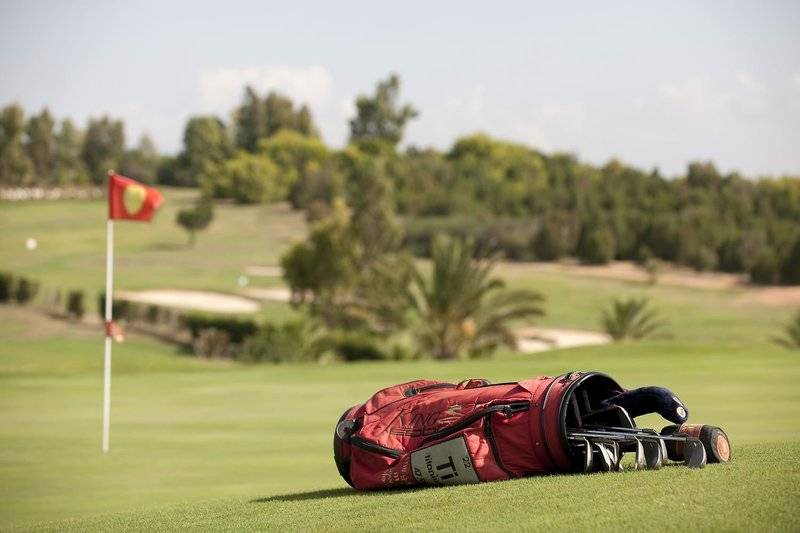 4. Bild Sentido Phenicia