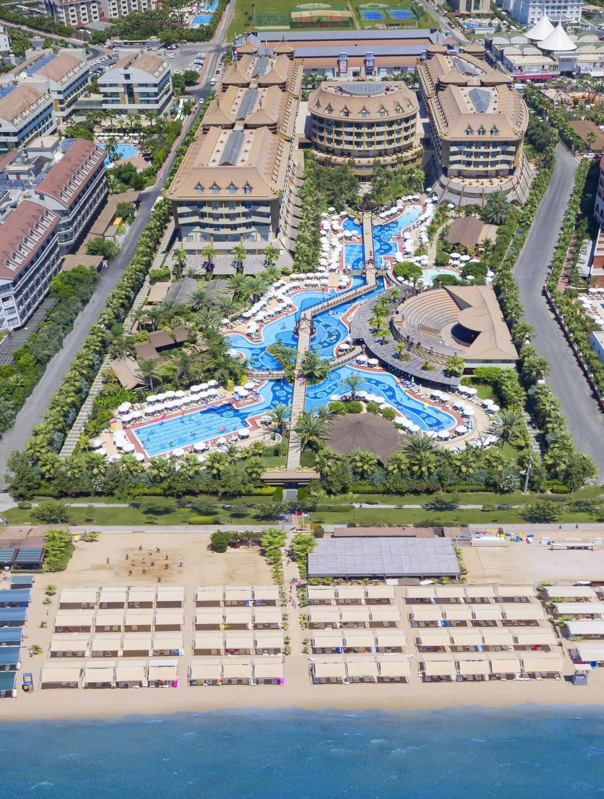 3. Bild ROYAL DRAGON