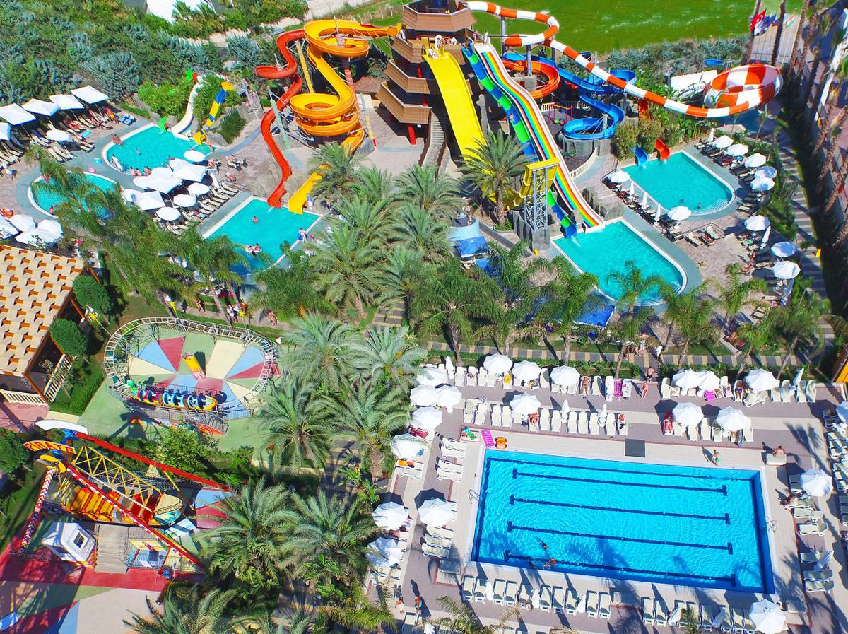 4. Bild ROYAL DRAGON