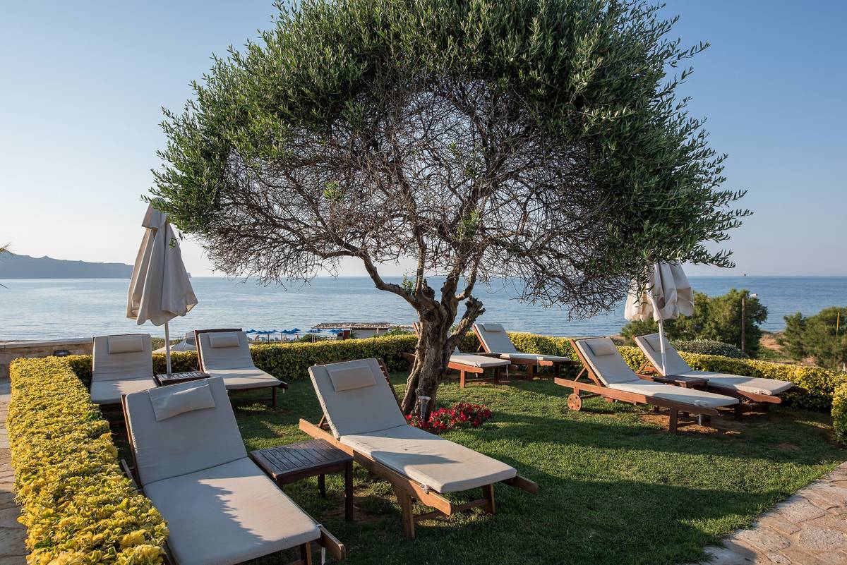 4. Bild Cretan Dream Royal