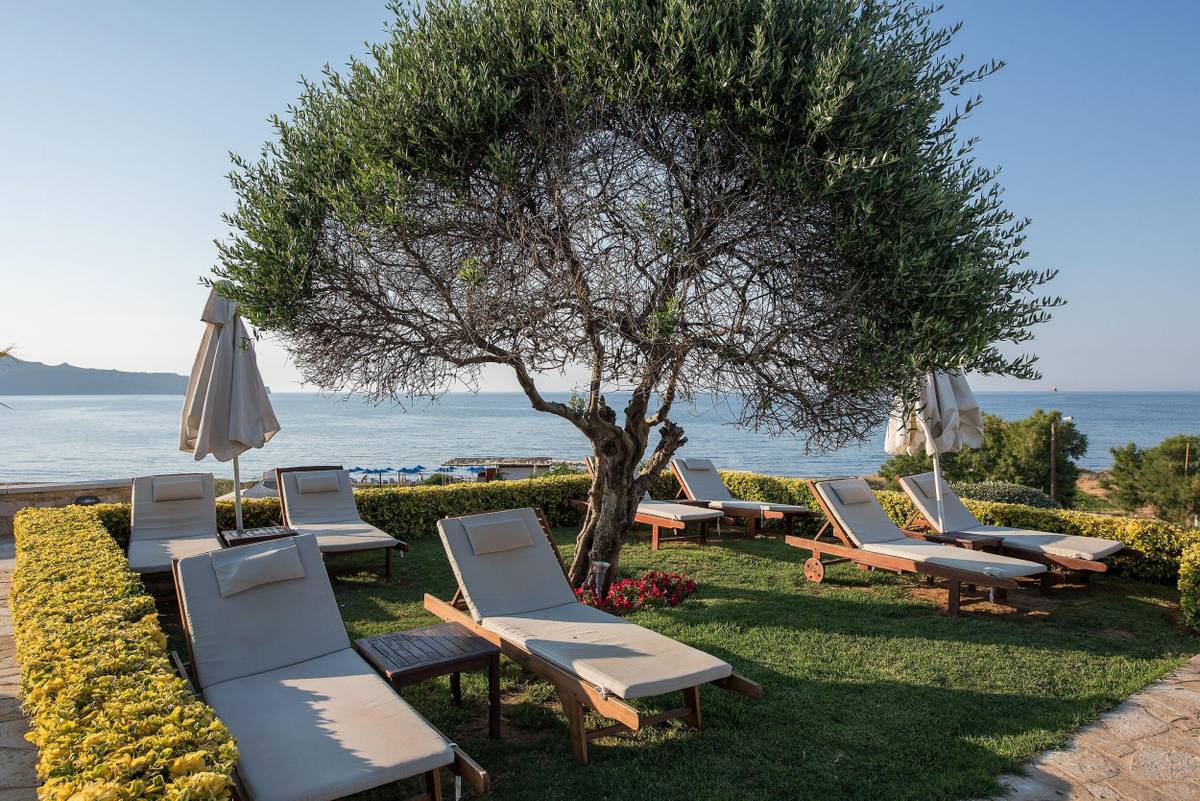 4. Bild Cretan Dream Royal