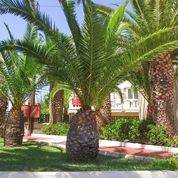 3. Bild Seafront Apartments