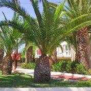 3. Bild Seafront Apartments