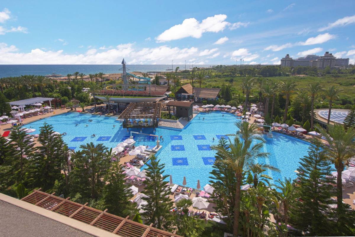 4. Bild DELPHIN DIVA