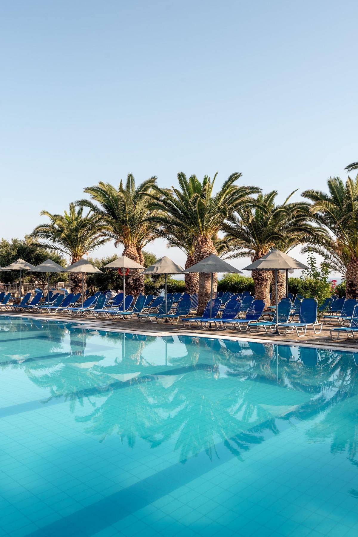 4. Bild Mediterraneo