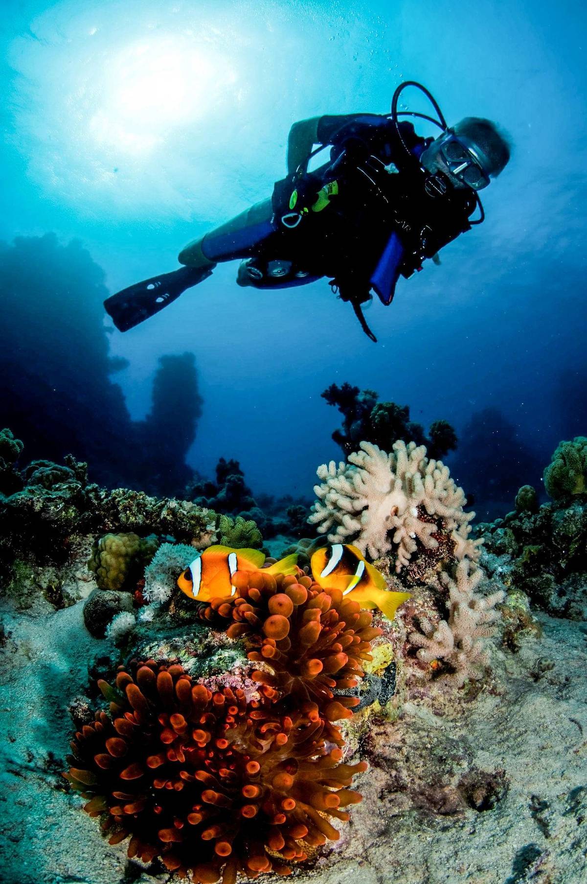 4. Bild Marlin Inn Azur Resort