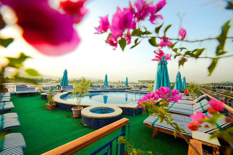 4. Bild MS Grand Rose