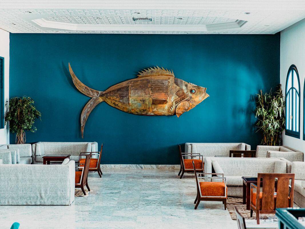 3. Bild Bougainvillier