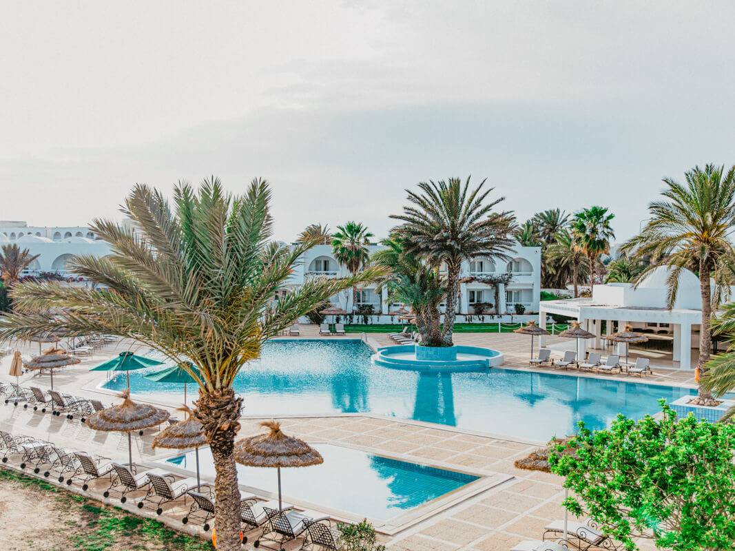 2. Bild Bougainvillier