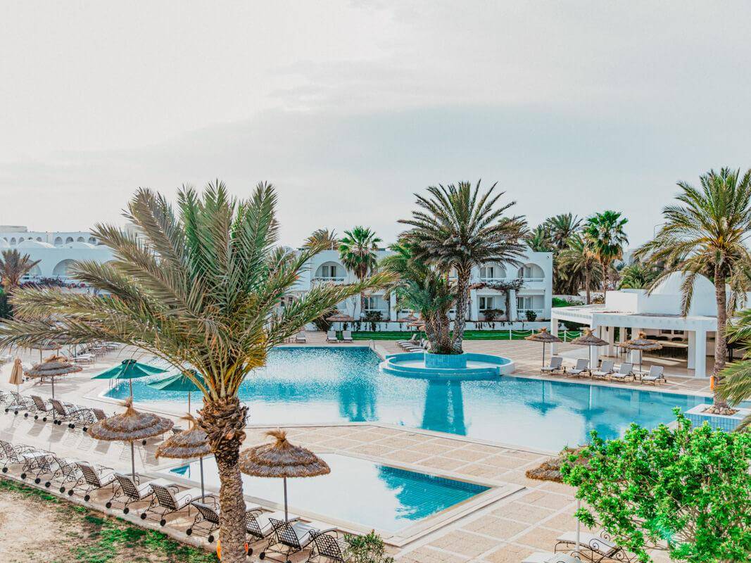 2. Bild Bougainvillier