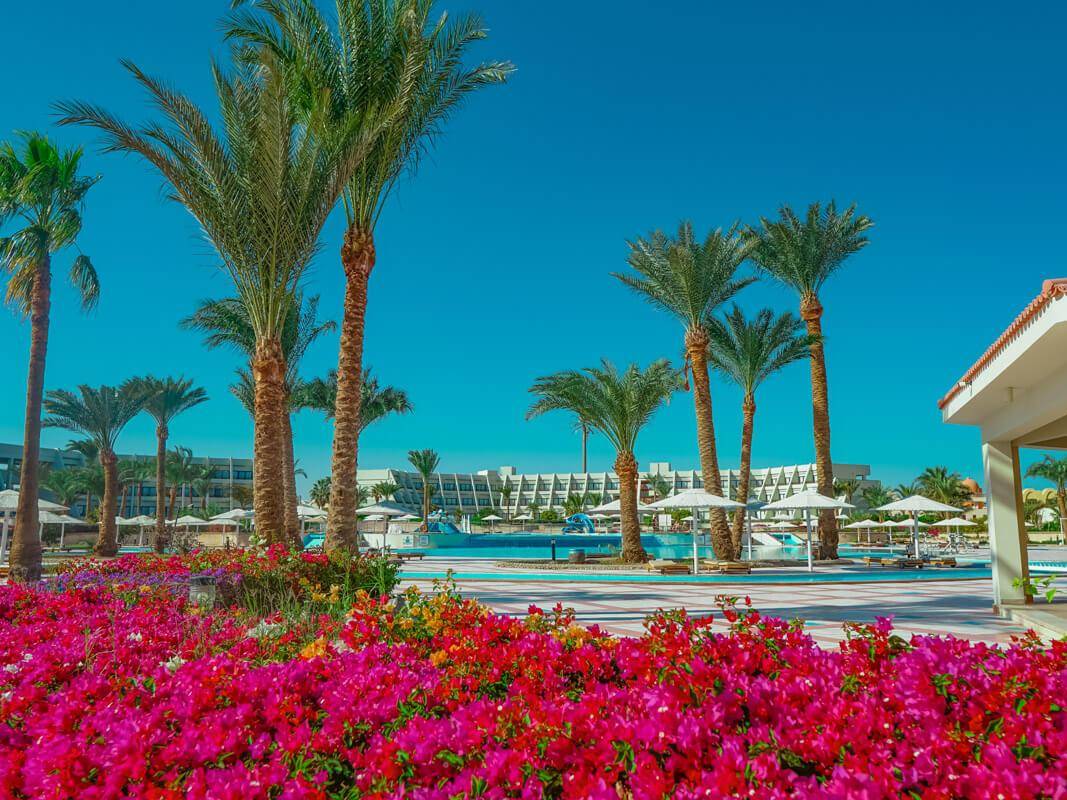 3. Bild Pharaoh Azur Resort