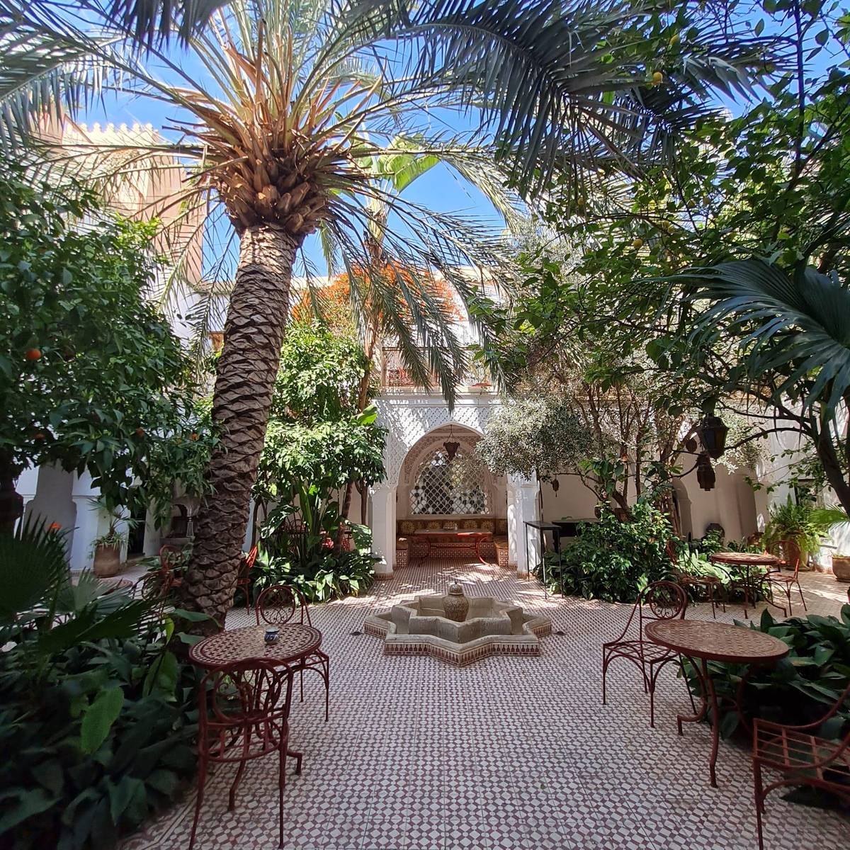 1. Bild Riad Ifoulki