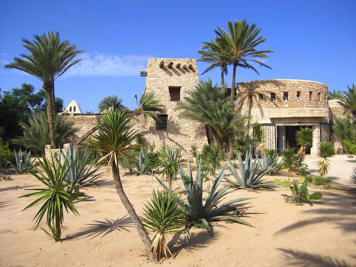 4. Bild Rundreise Tunesische Highlights