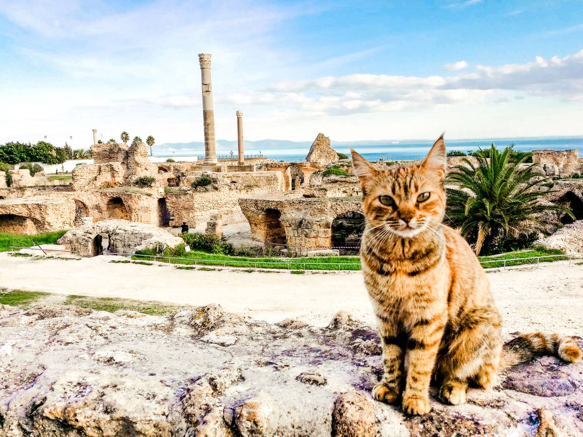 1. Bild Rundreise Tunesische Highlights