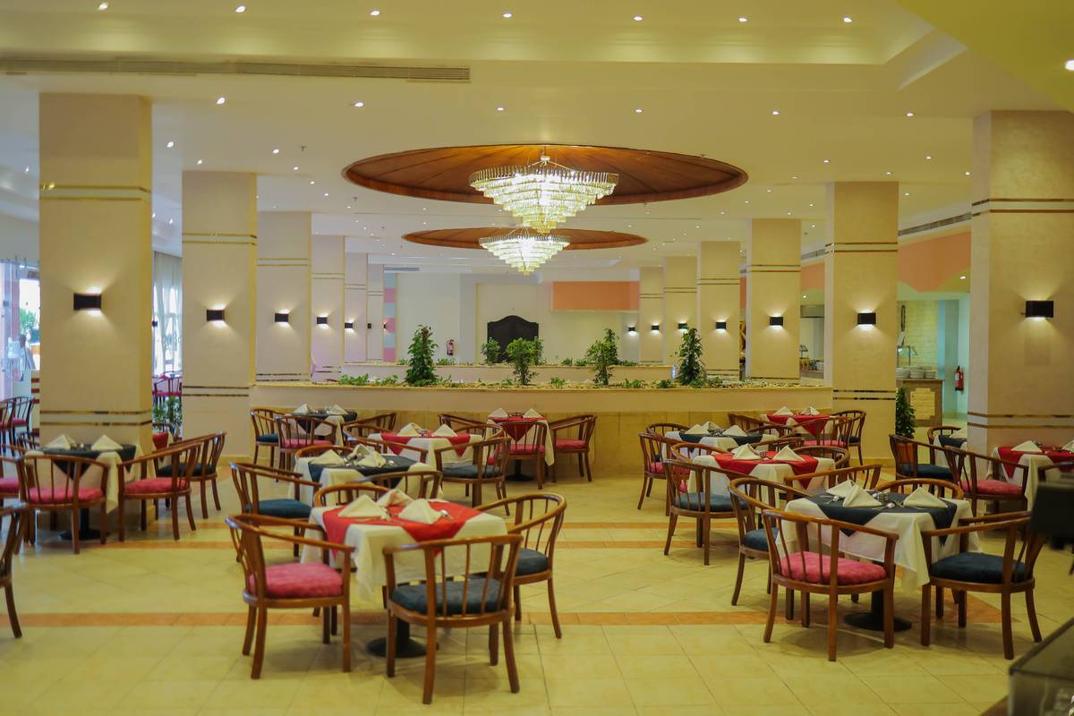 4. Bild MG Alexander The Great