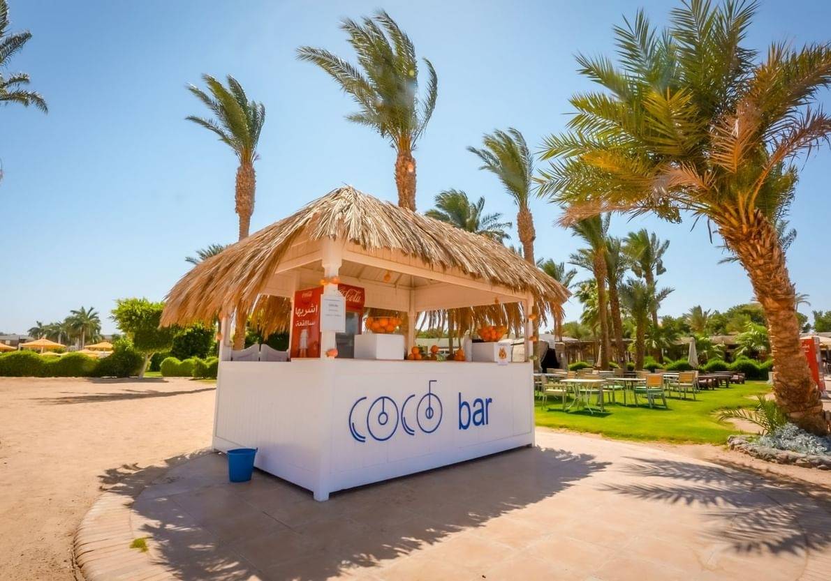 4. Bild Jaz Royal Palmariva