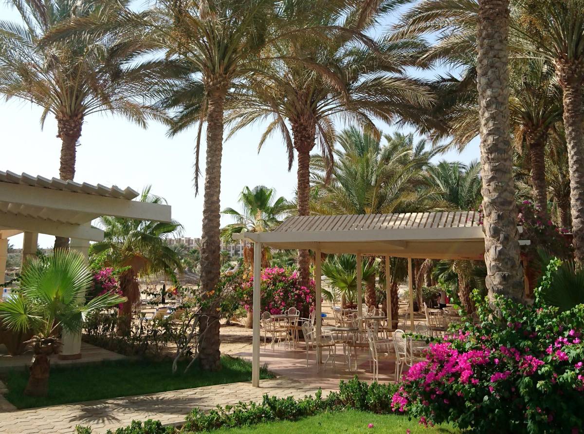 2. Bild Brayka Bay Resort