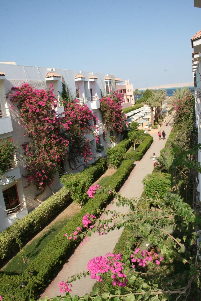 1. Bild Minamark Resort & Spa