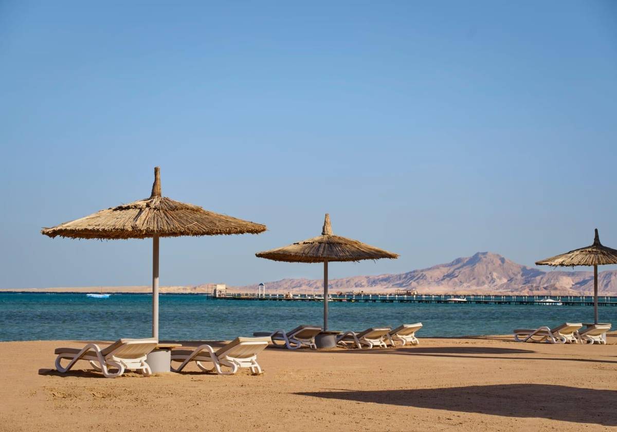 4. Bild Coral Sea Water World