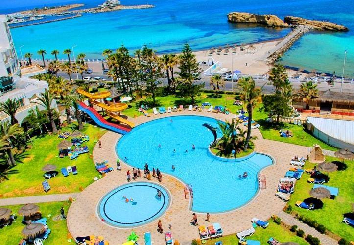 4. Bild Delphin El Habib