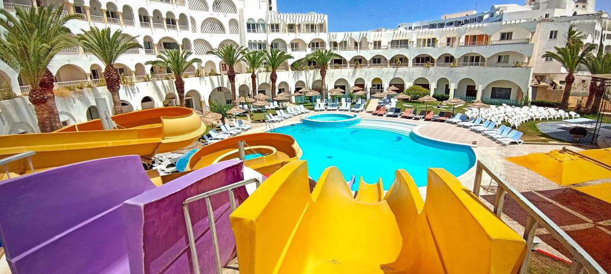 5. Bild Delphin El Habib