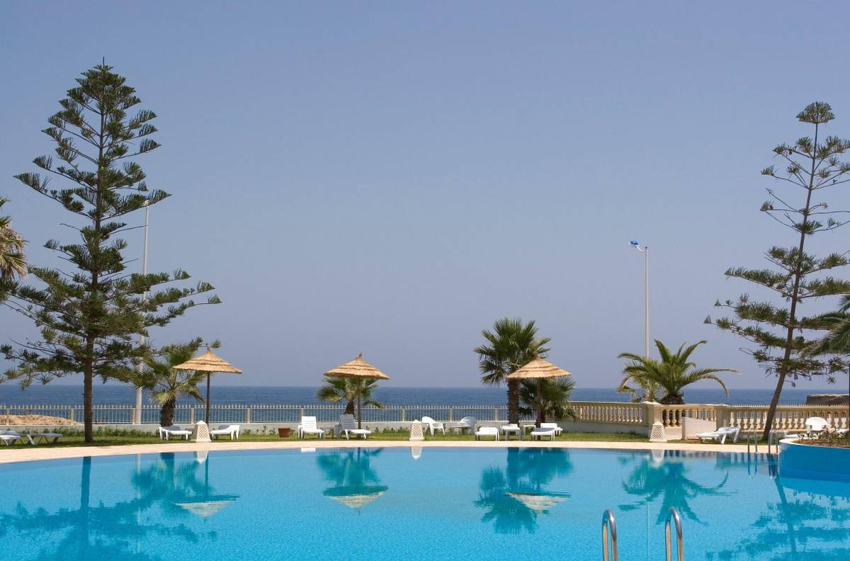 3. Bild Delphin El Habib
