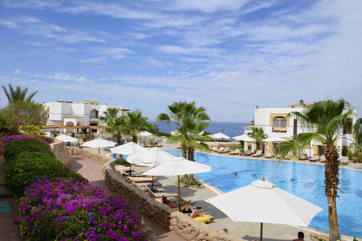 5. Bild Amphoras Blu