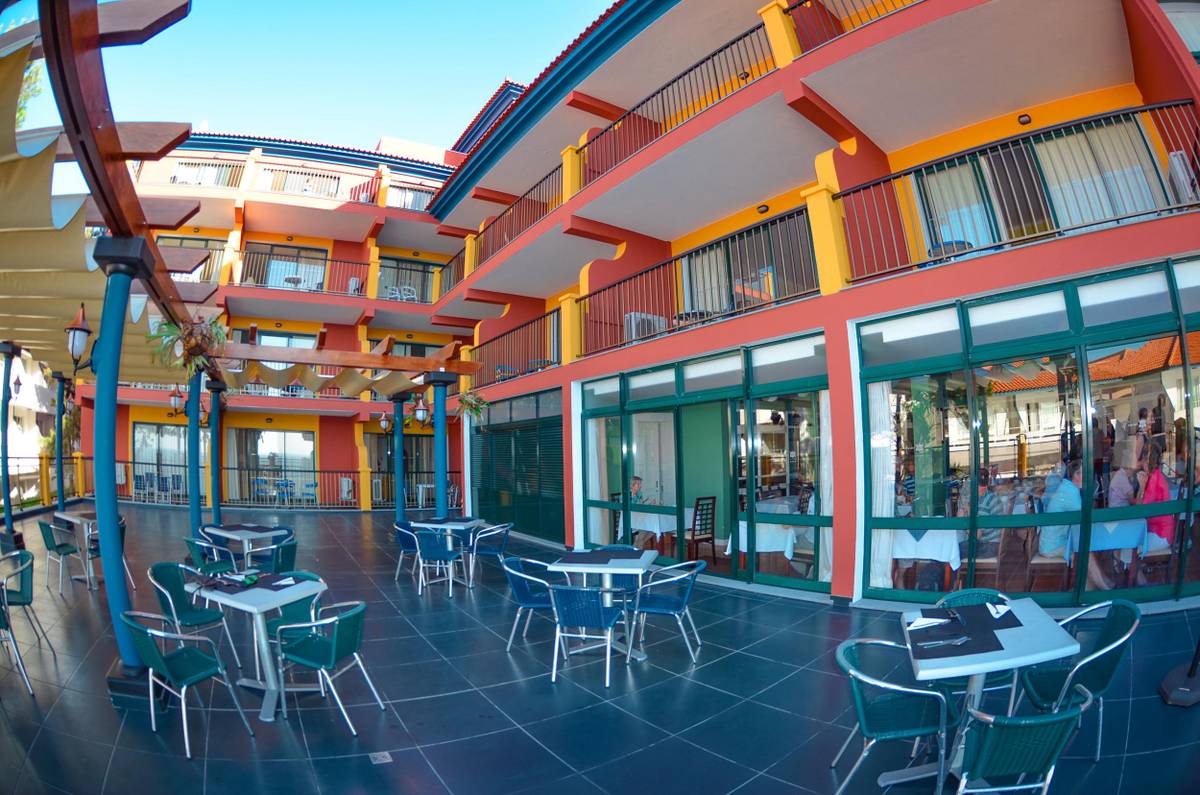 4. Bild Royal Orchid