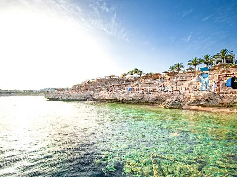  Faszinierende Unterwasserwelt