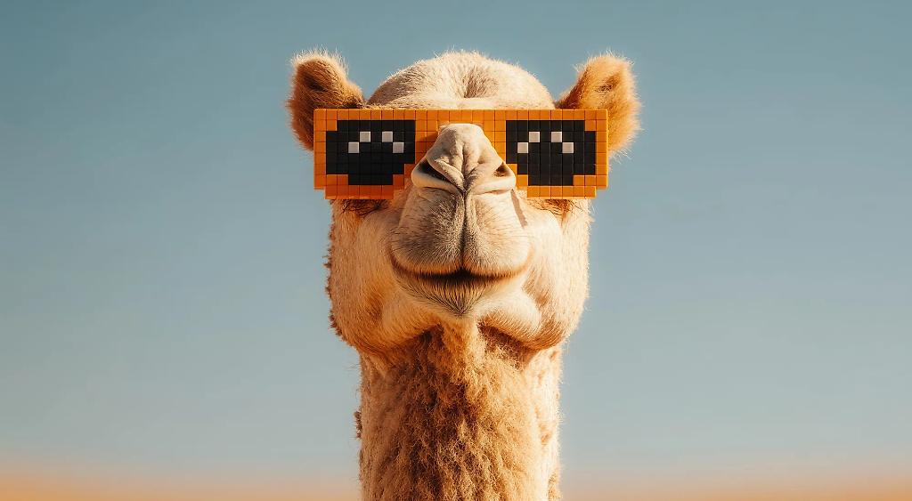 Leider ist ein Problem aufgetreten.