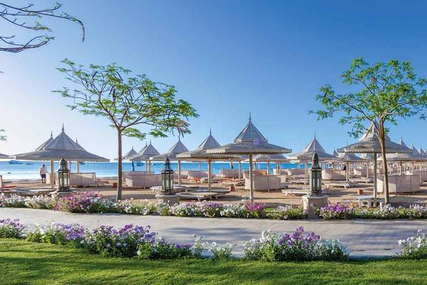 Strand von Hurghada mit Palmen in Ägypten