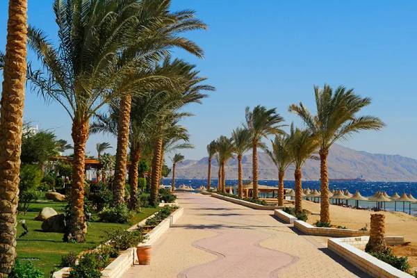 Promenade von Sharm El Sheikh mit Palmen
